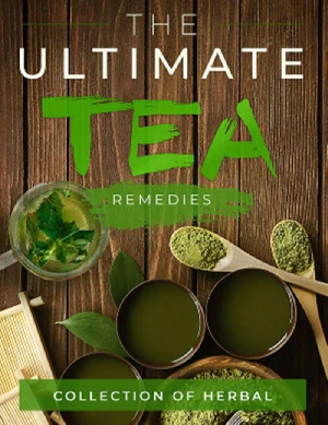 cover2